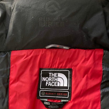 The north face summit series  Himalayas Puffer Jacket Snow Mountain Suit